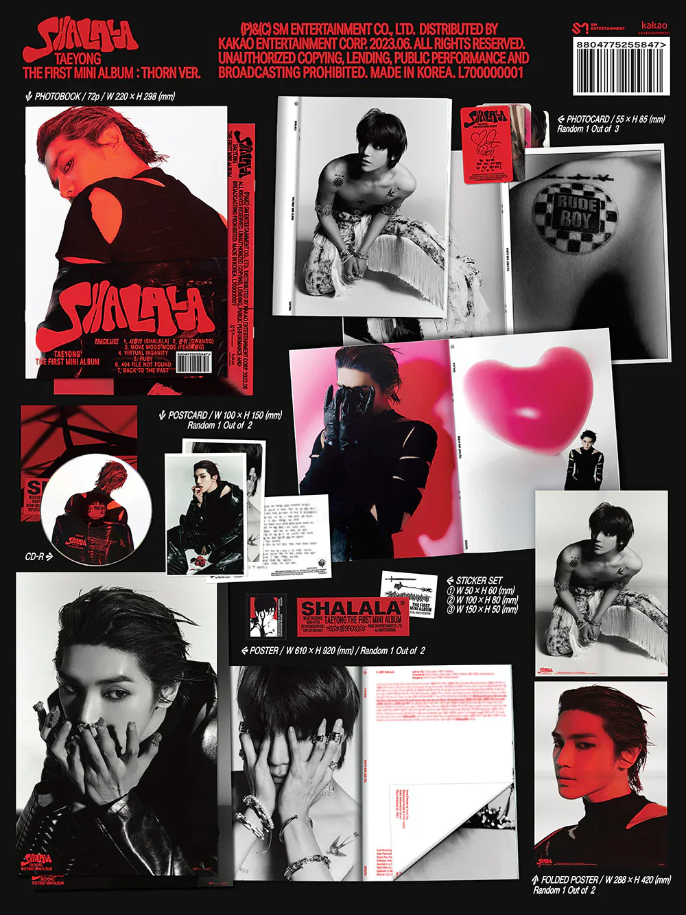 TAEYONG SHALALA - Thorn - Image 2